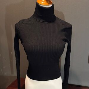 Zara Black Ribbed Turtleneck Top